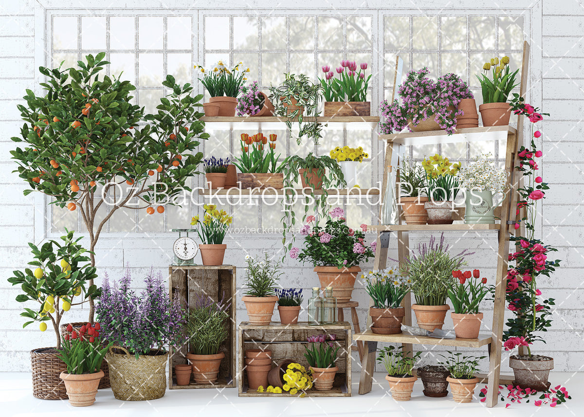 Heavenly Hothouse