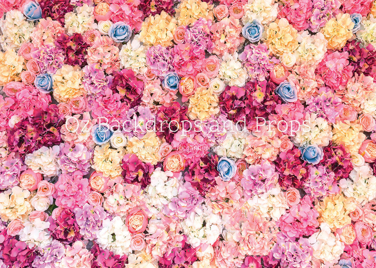 Homely Hydrangeas