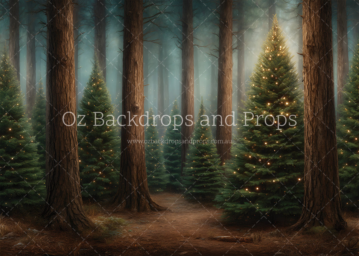 In The Christmas Woods