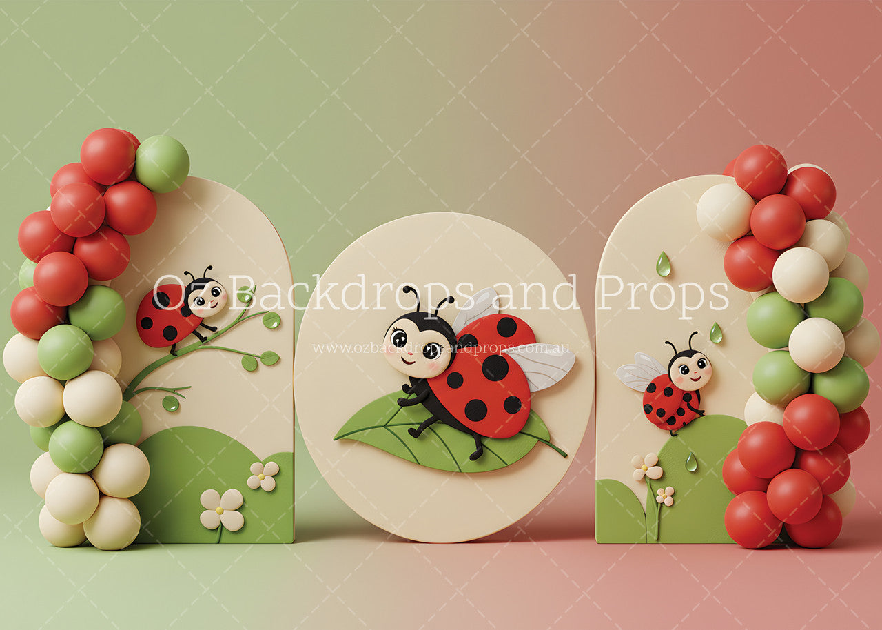 Lovely Lady Bugs