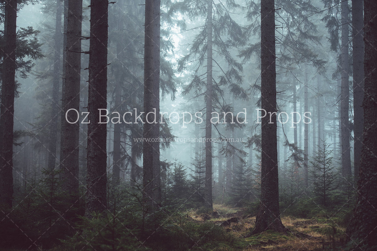 Misty Pines
