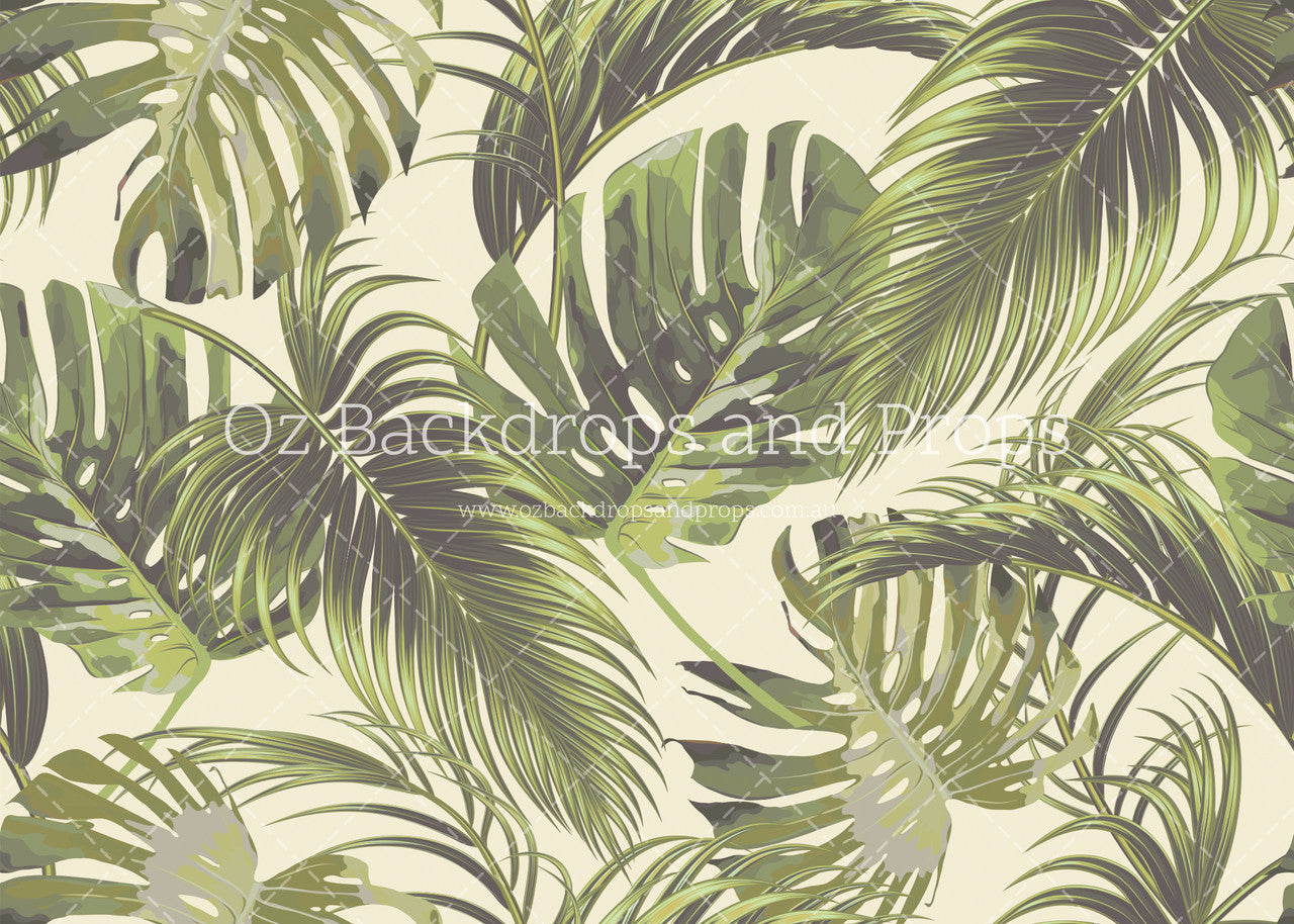 Monstera