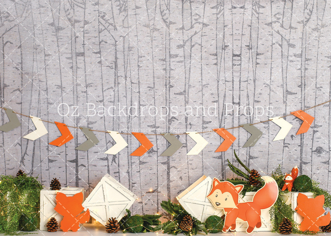 Mr Fox