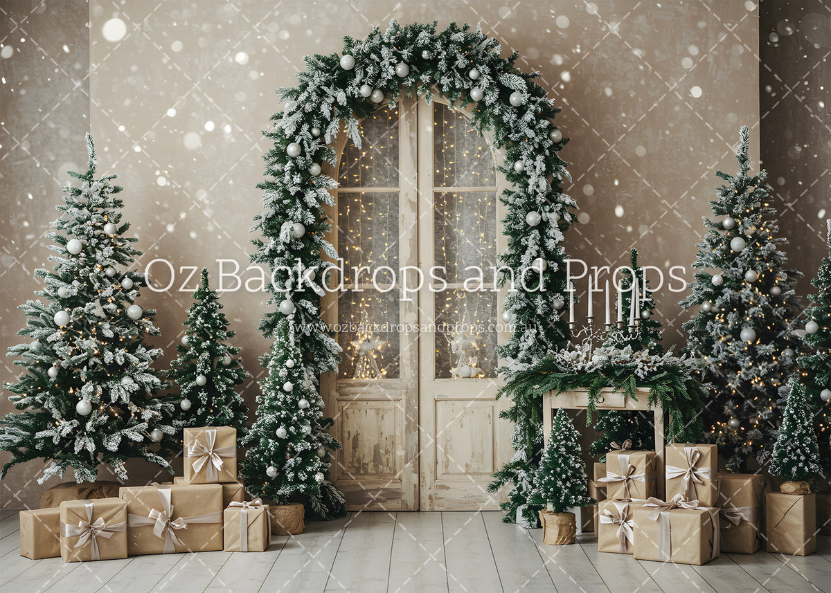 Nativity Doorway