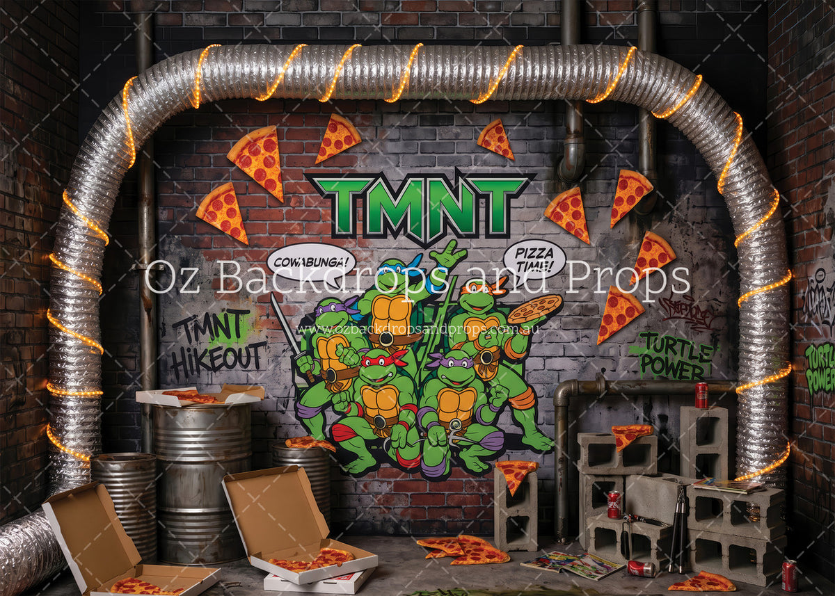 Ninja Turtles