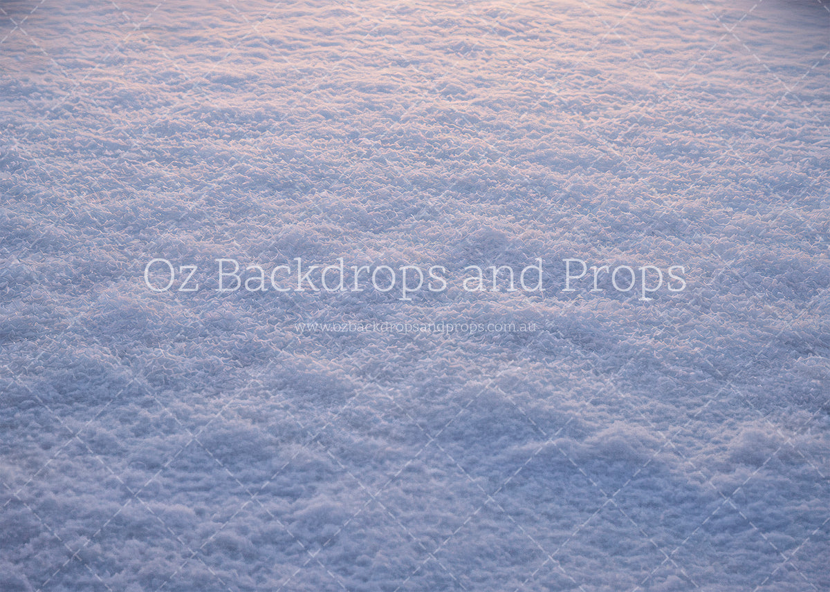 Northern Lights Workshop Snow