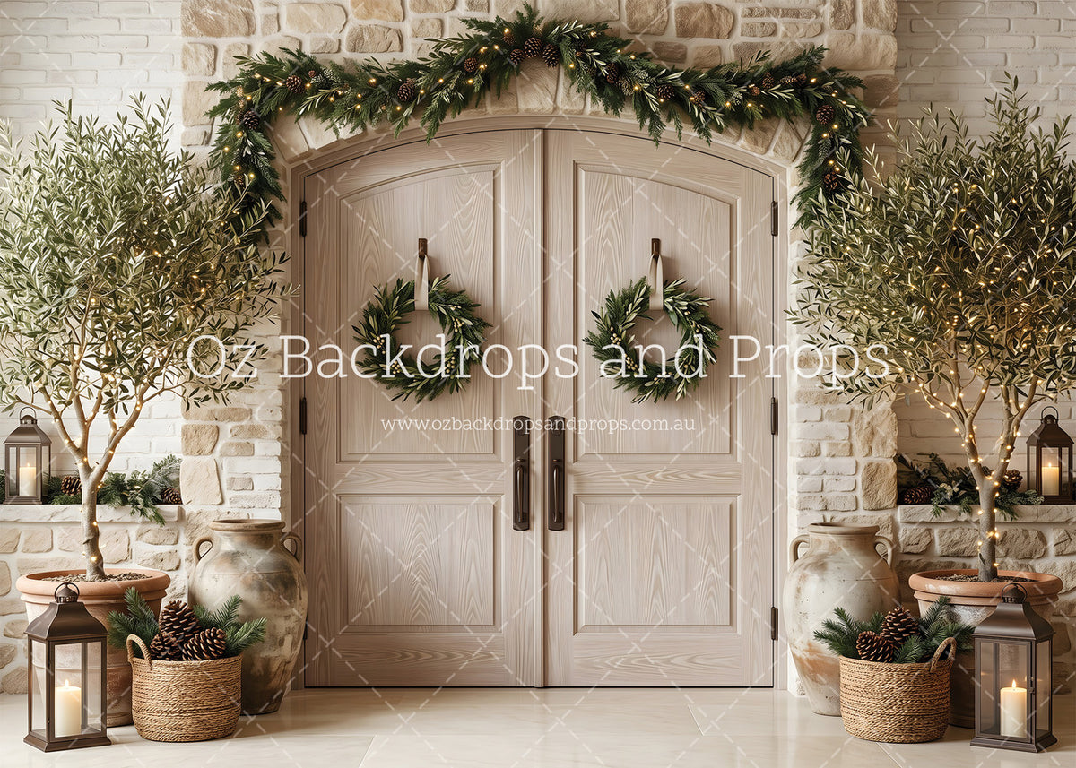 Olive Tree Tidings