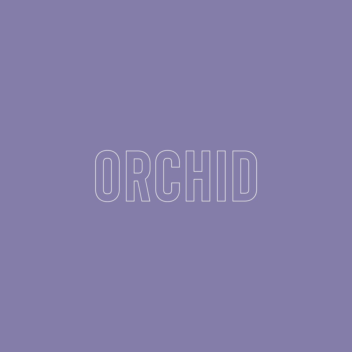 Orchid