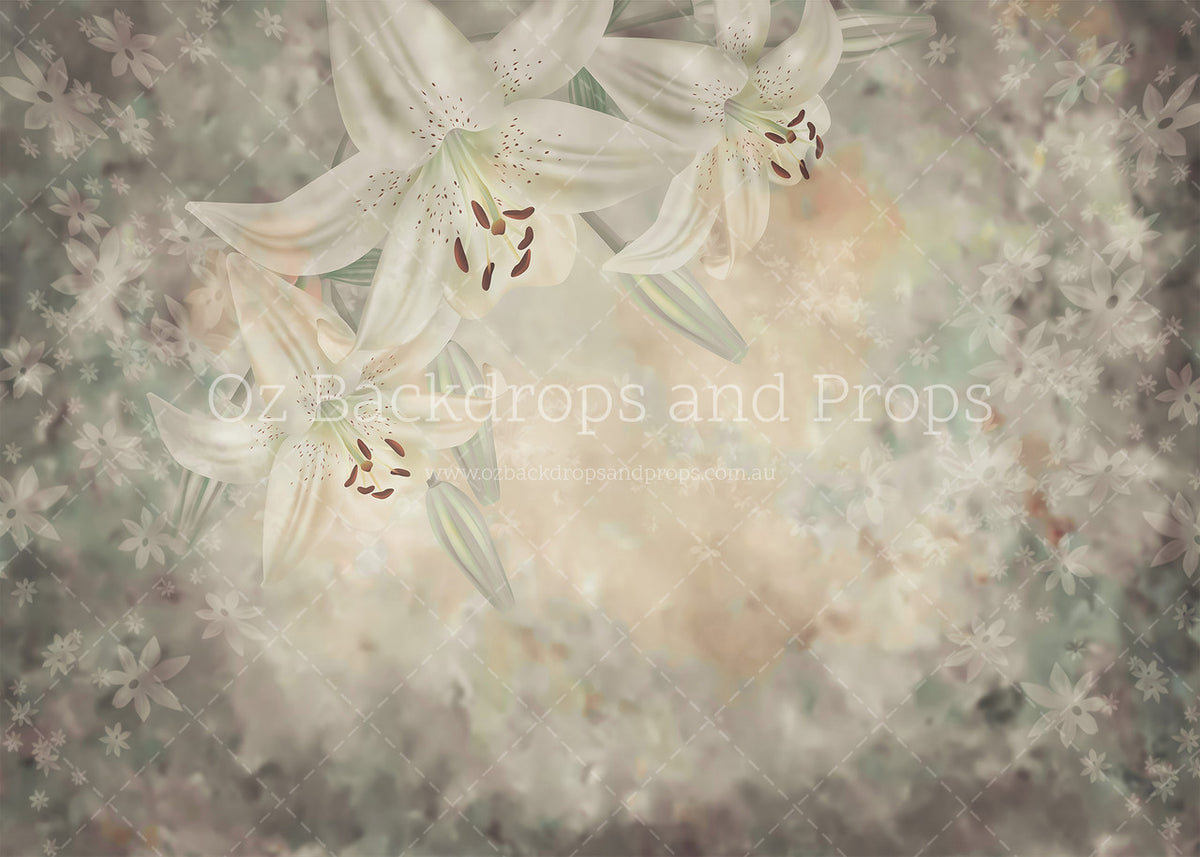 Oriental Lily