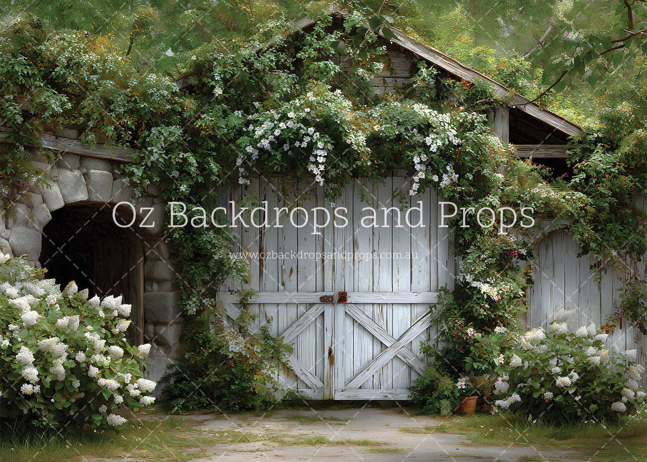 Overgrown Barn
