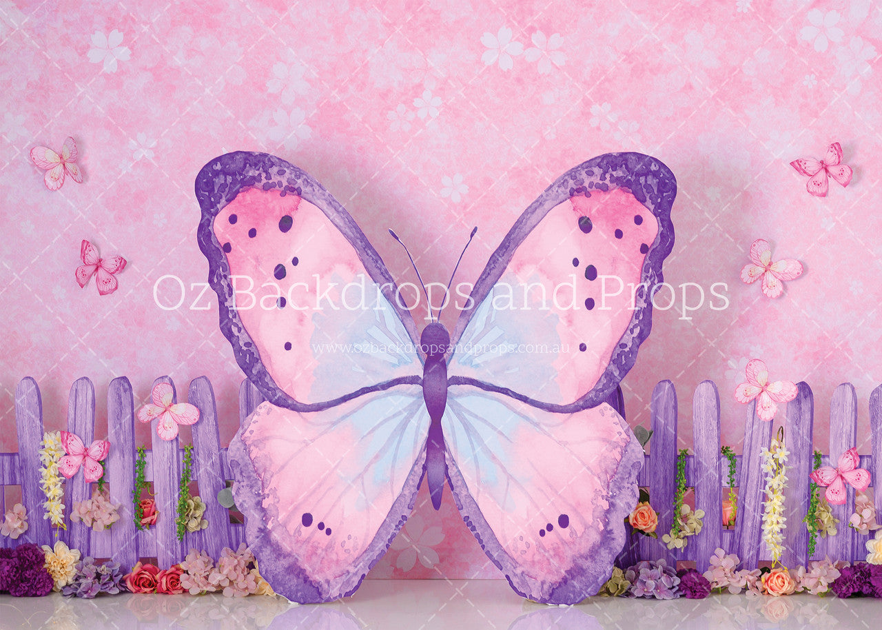 Papillon Princess