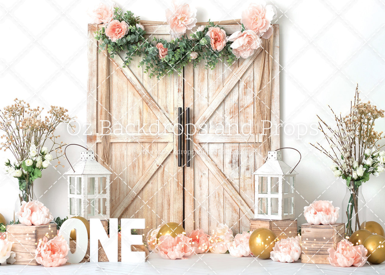 Peachy Boho Barn