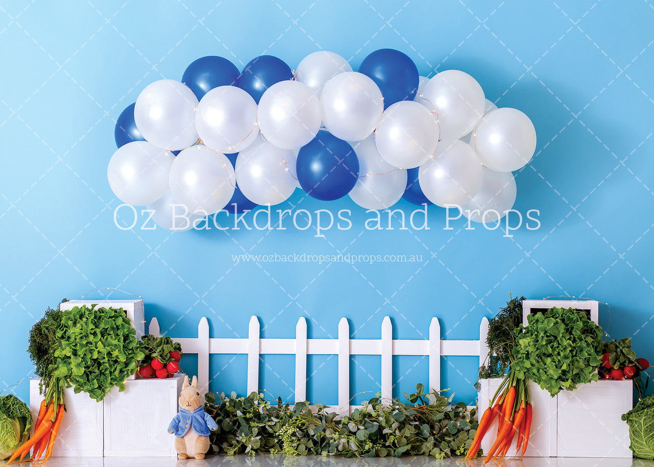 Peter Rabbit Balloons