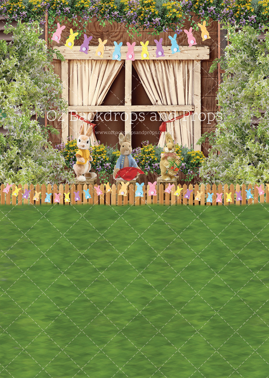 Peter's Easter Window Sweep