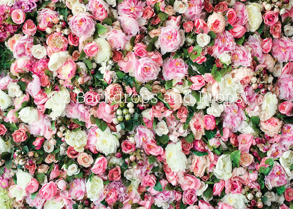 Plush Peonies