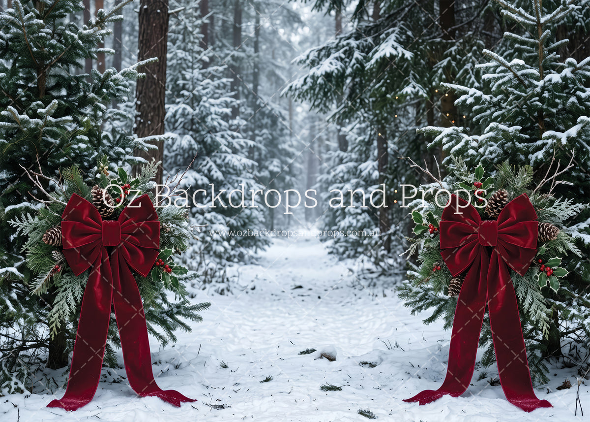 Red Bow Forest