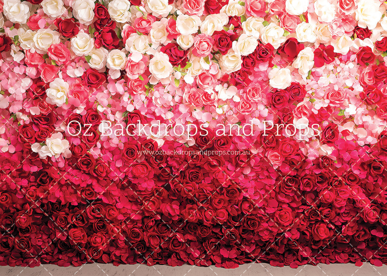 Red Rose Wall