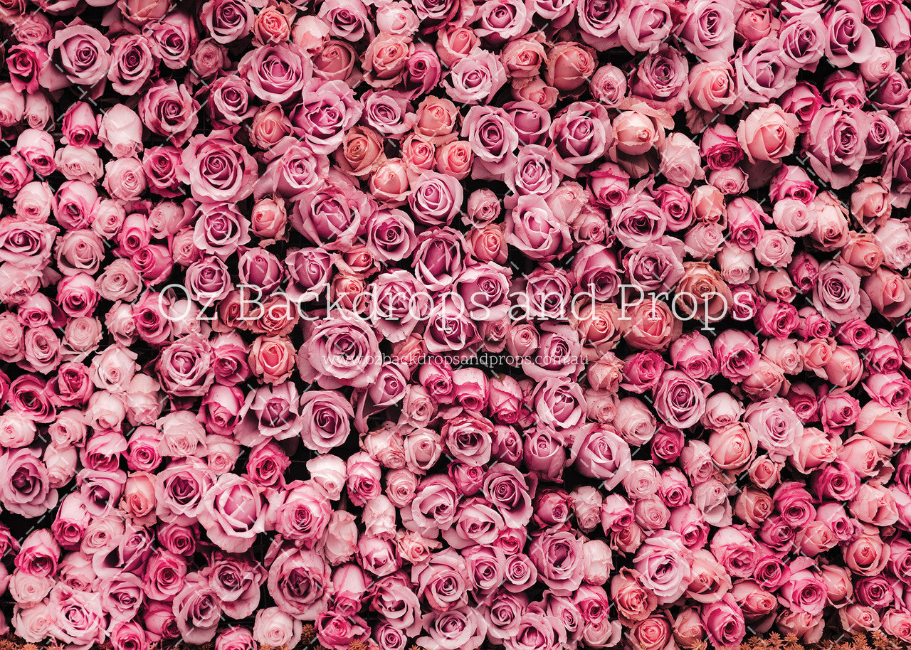 Roses Galore