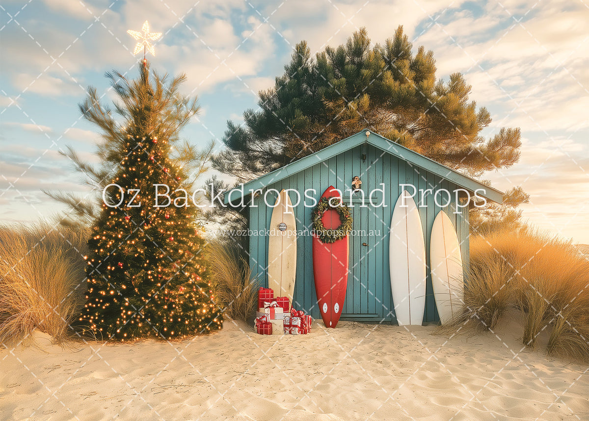 Sandy Christmas Pine