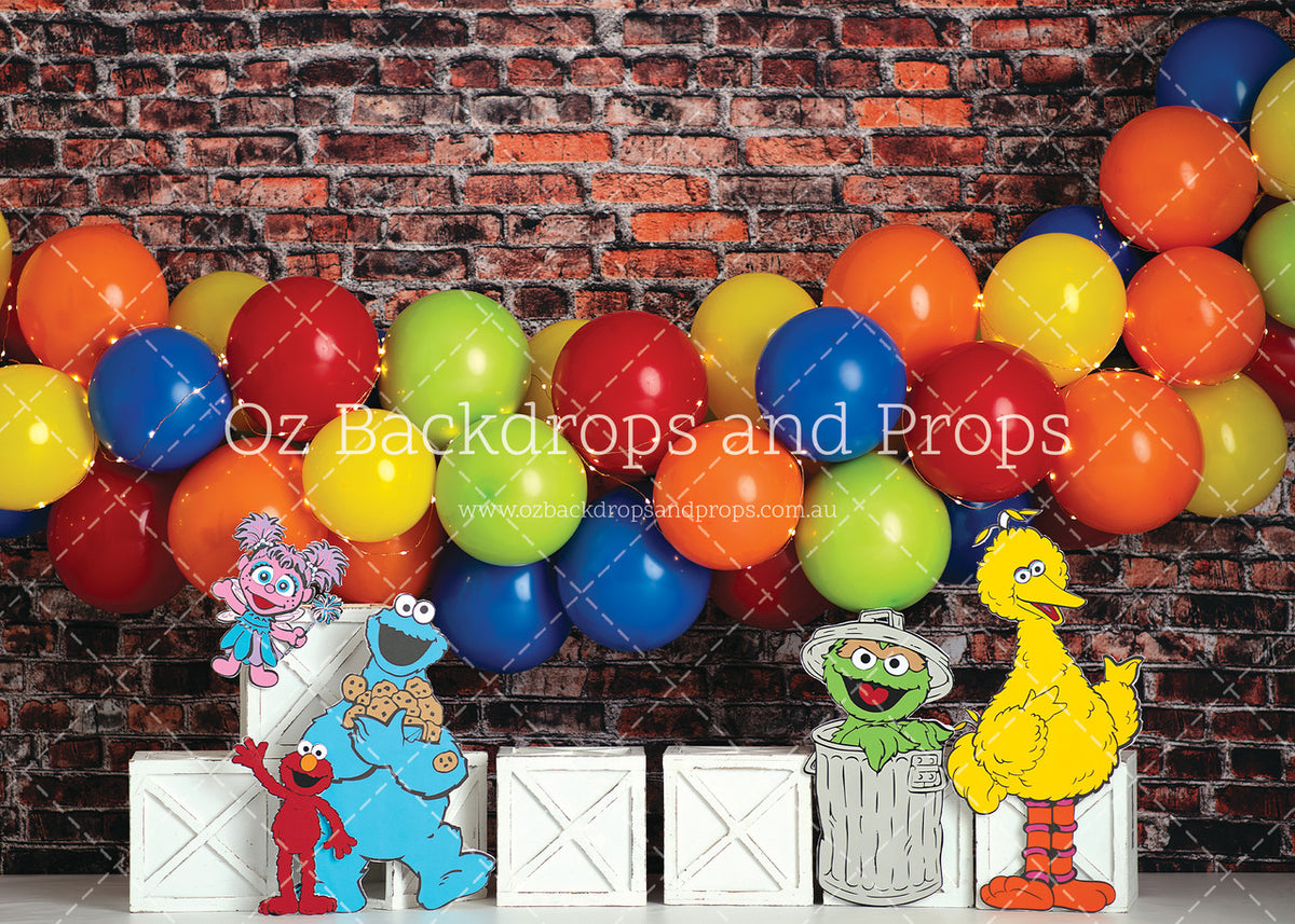 Sesame Street Brick