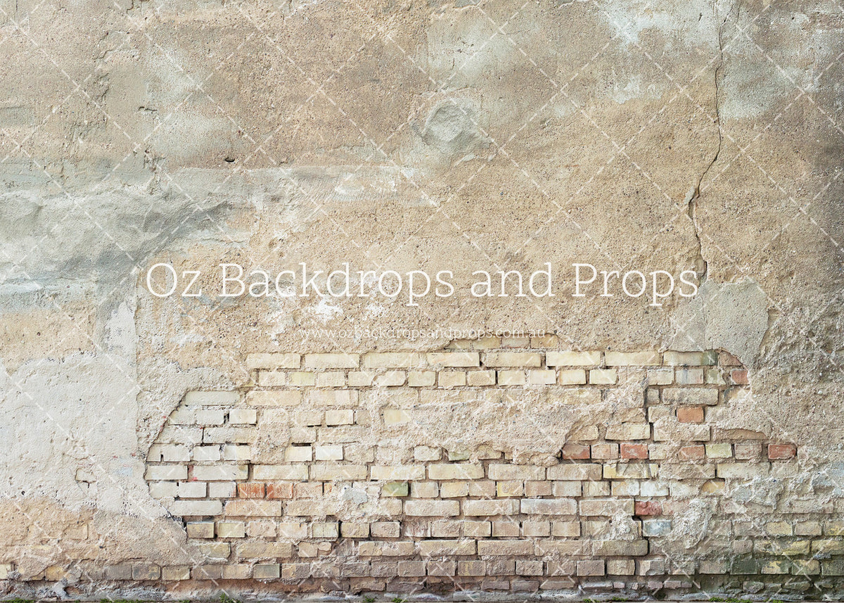Shabby Brick Wall