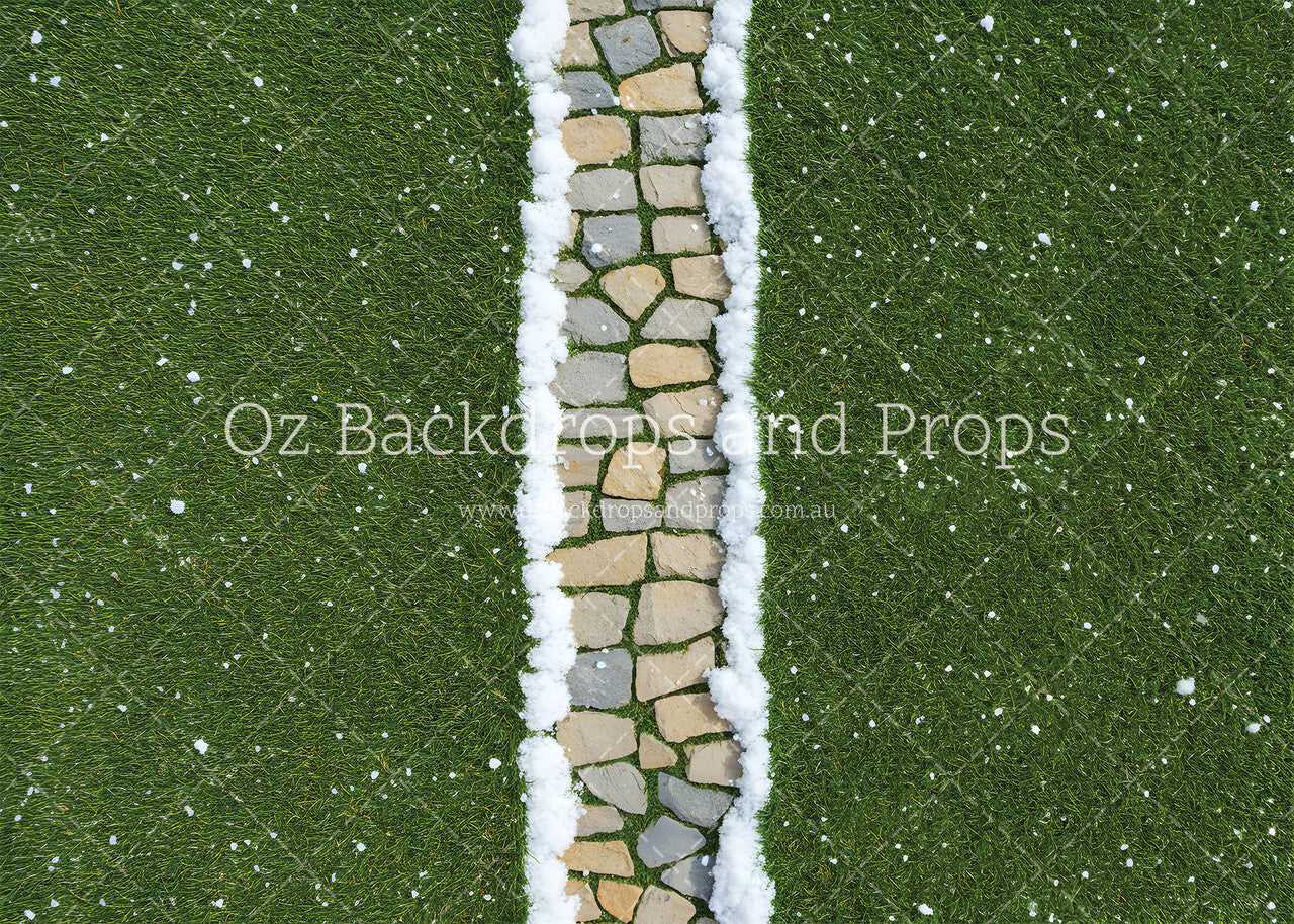 Snowy Grass Pathway