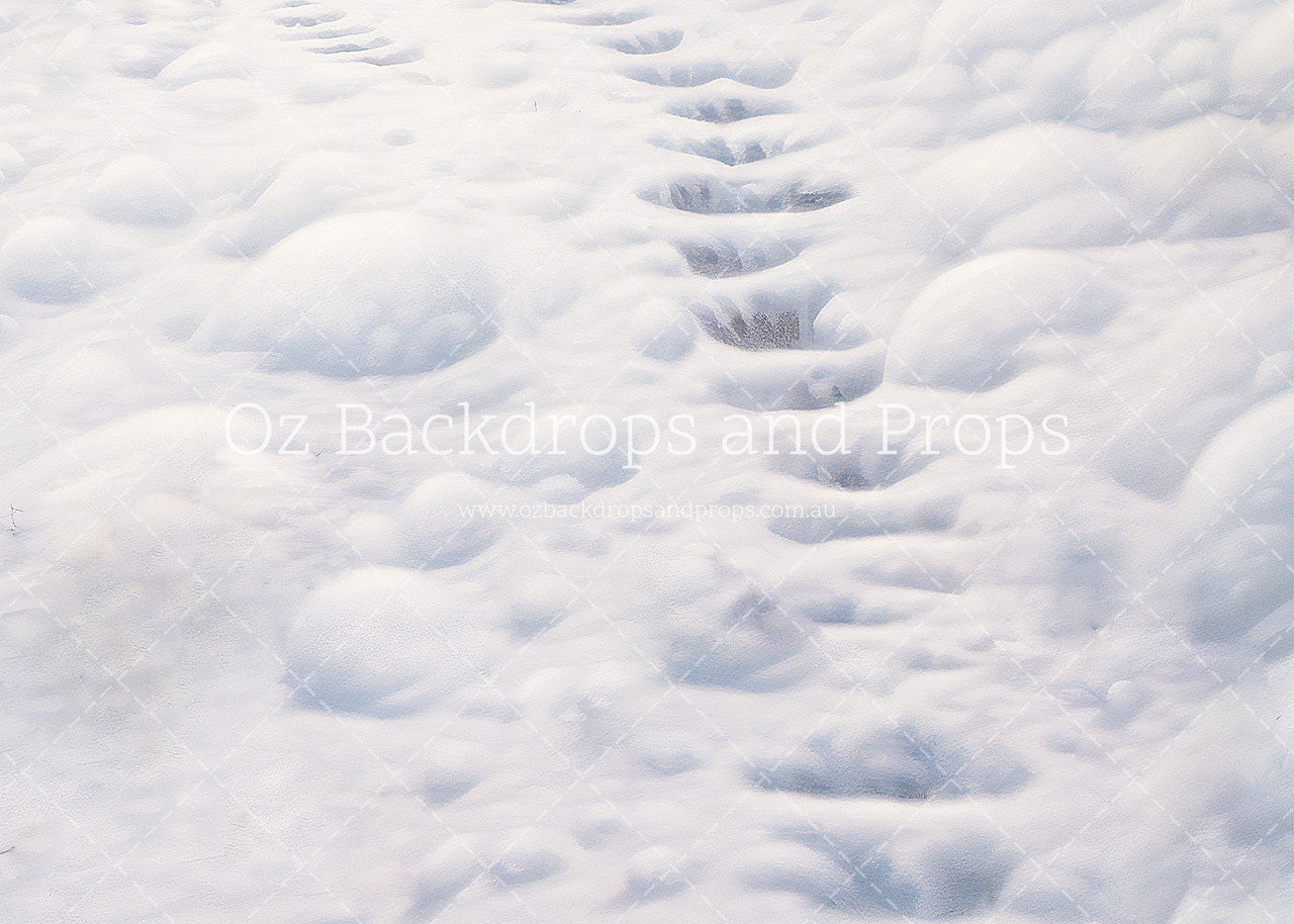 Snowy Path