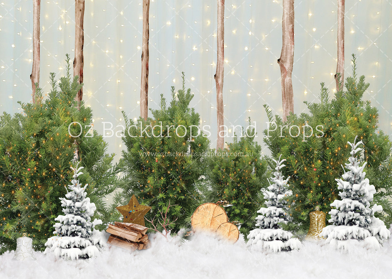 Snowy Pine Woods