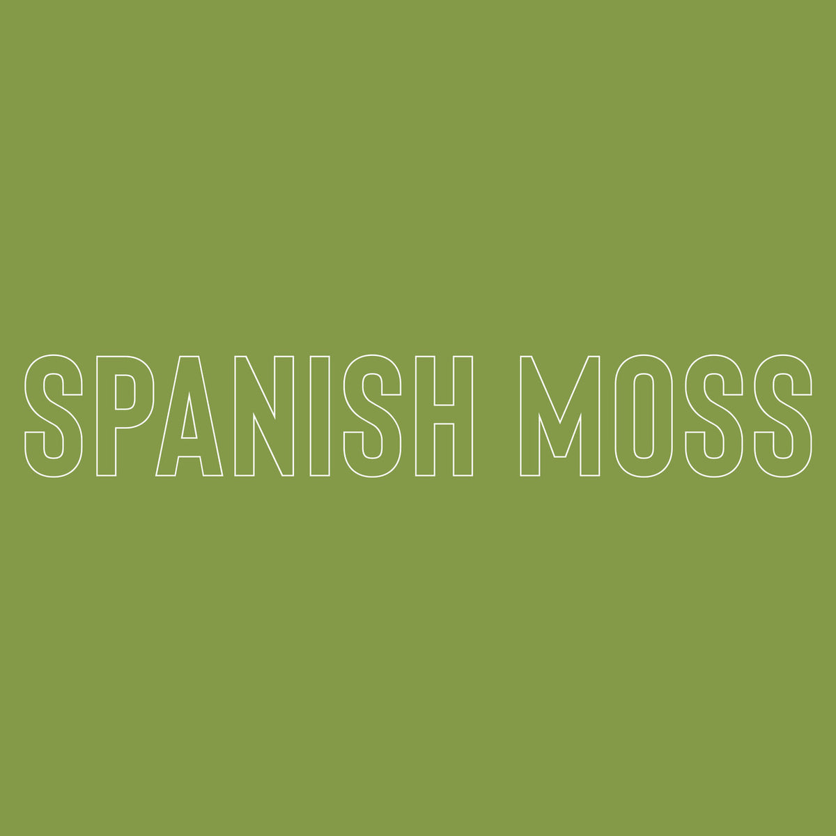 Spanish Moss