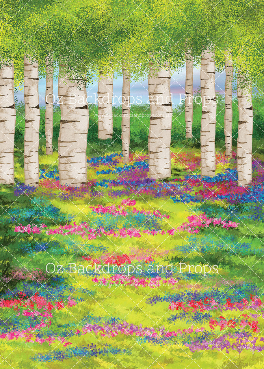 Spring Birch Forest Sweep