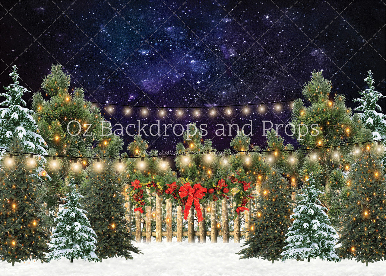 Starstruck Tree Farm