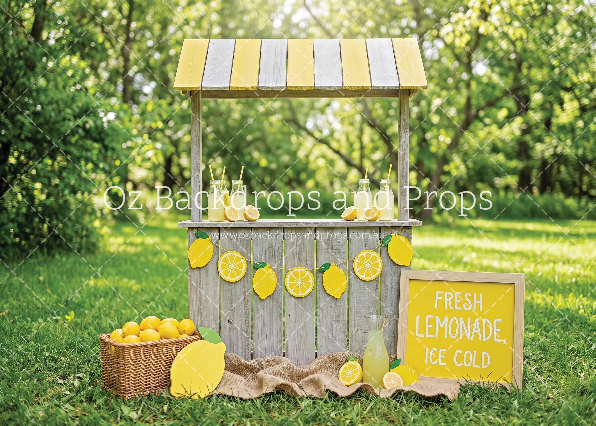 Summer Lemonade Stand