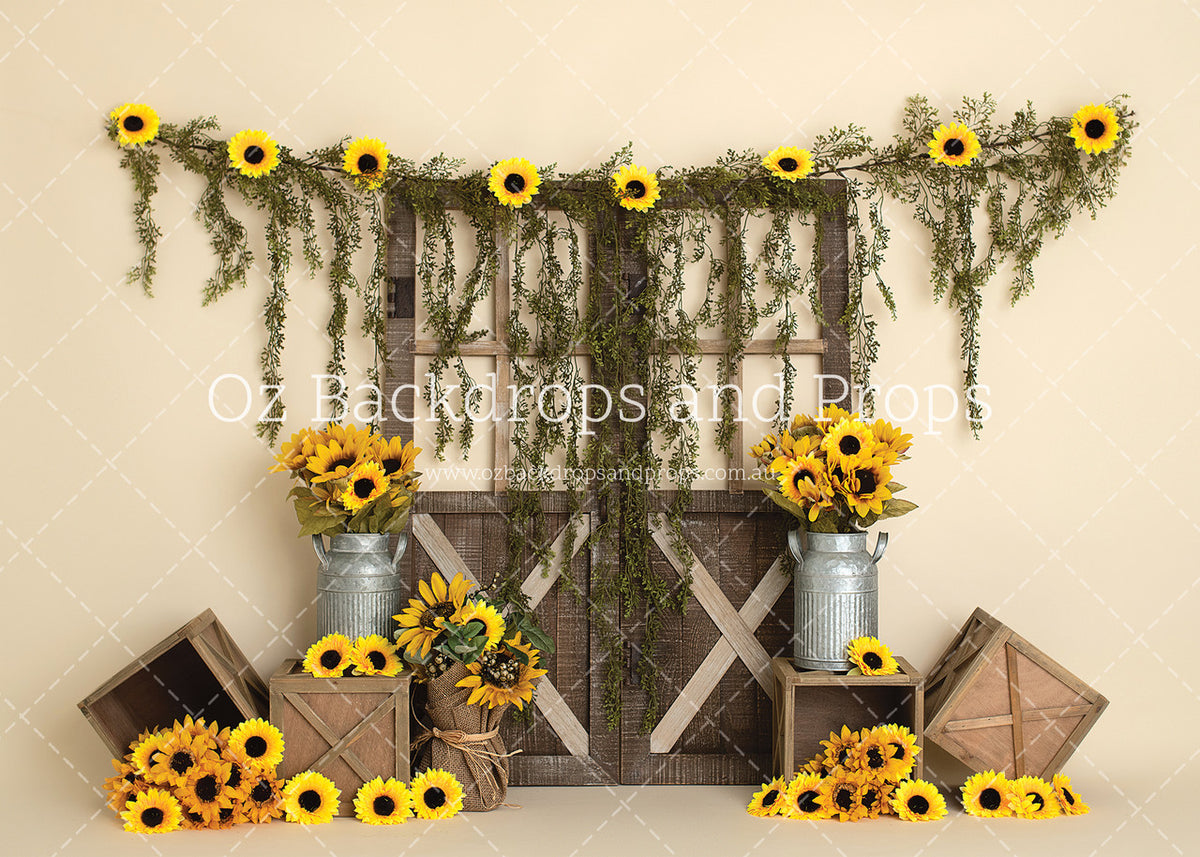 Sunflower Market