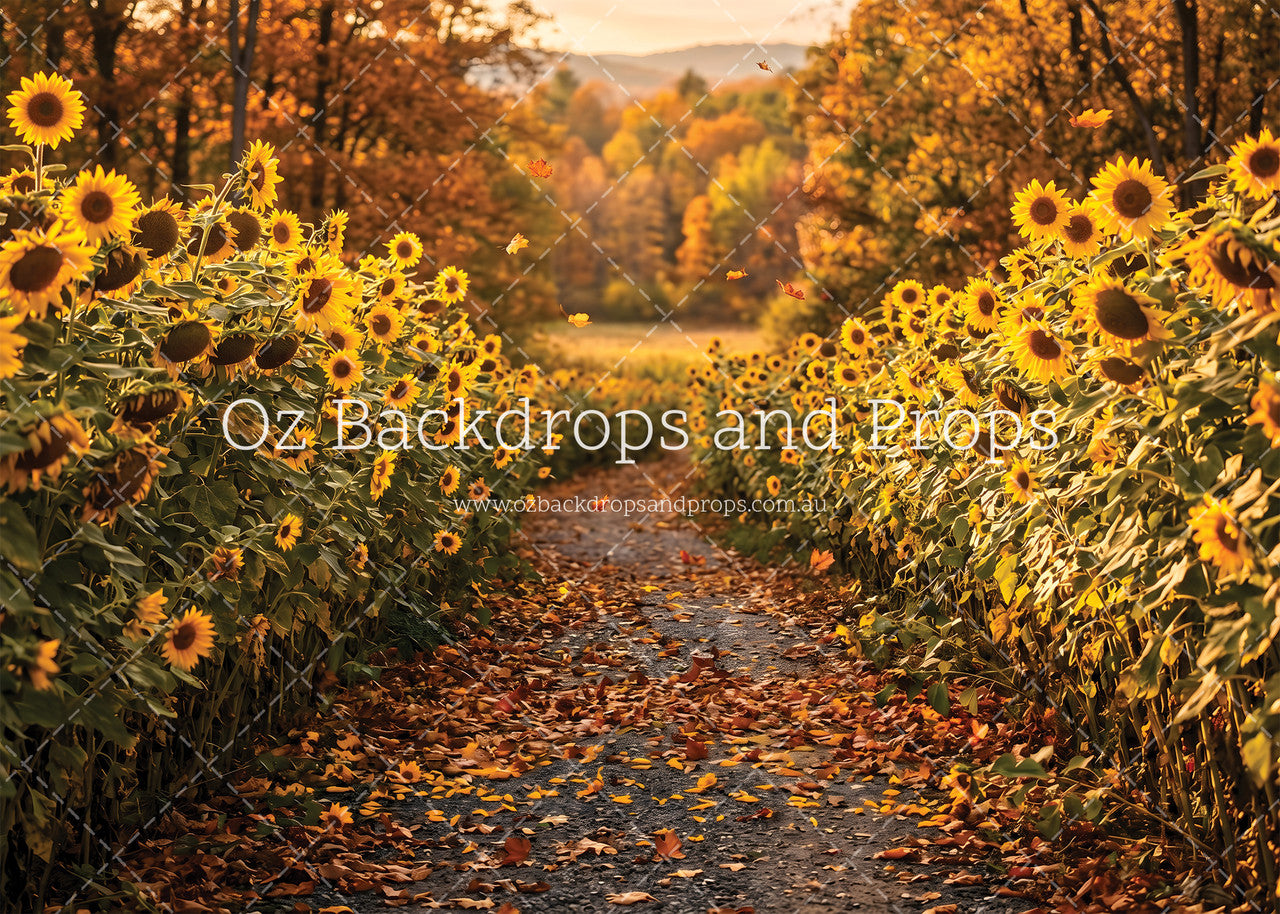 Sunflower Path