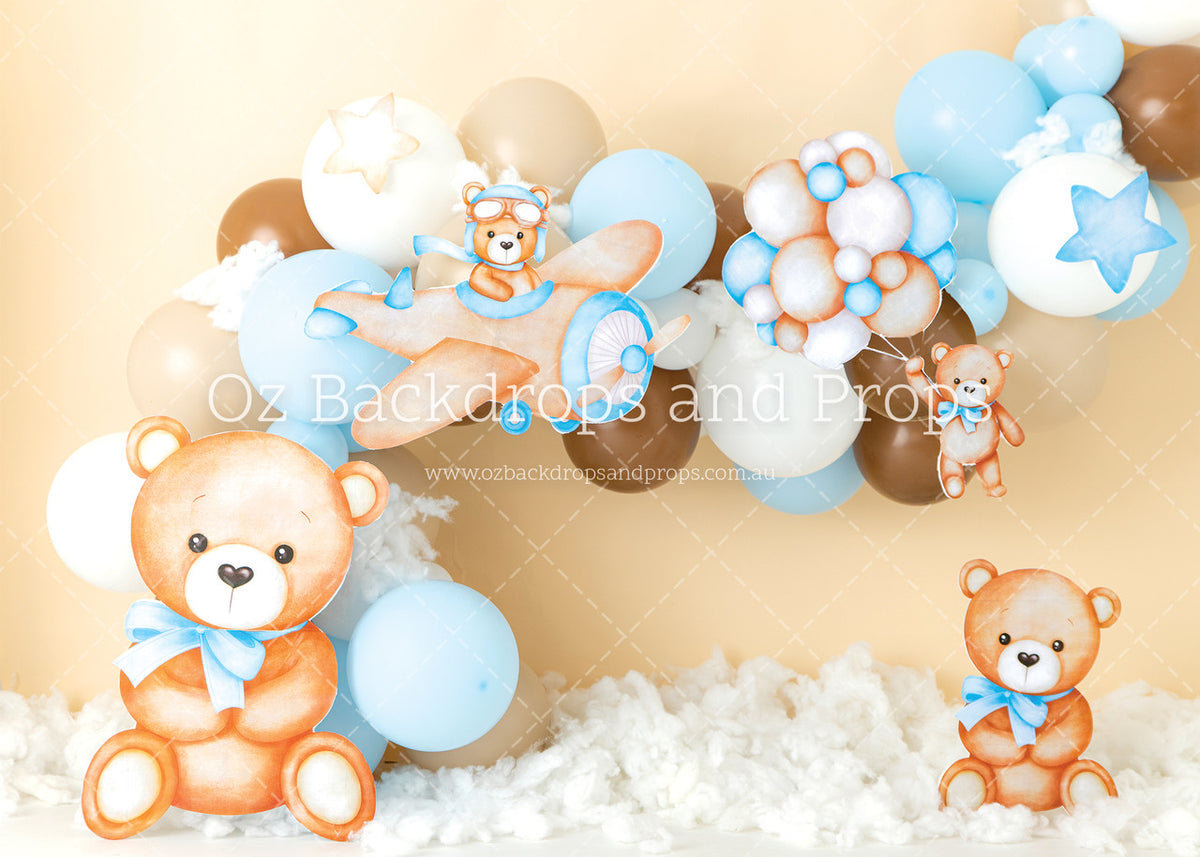 Teddy Adventure
