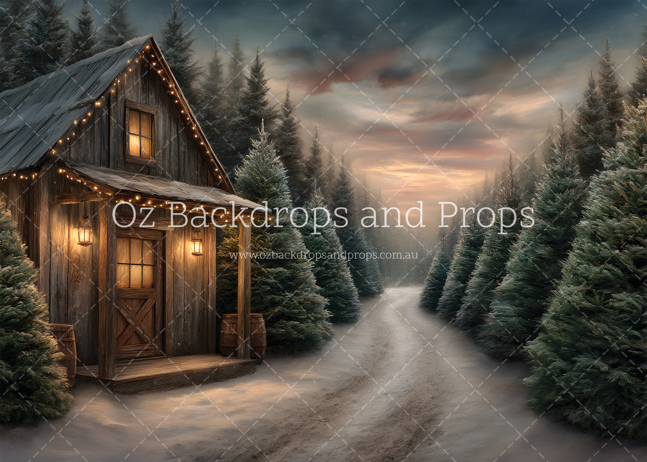 Tree Farm Shack