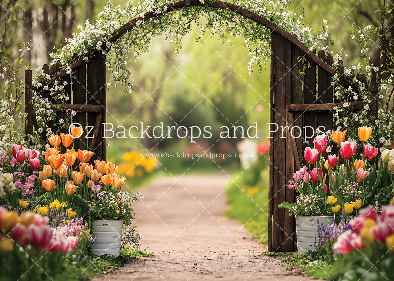 Tulip Pathway