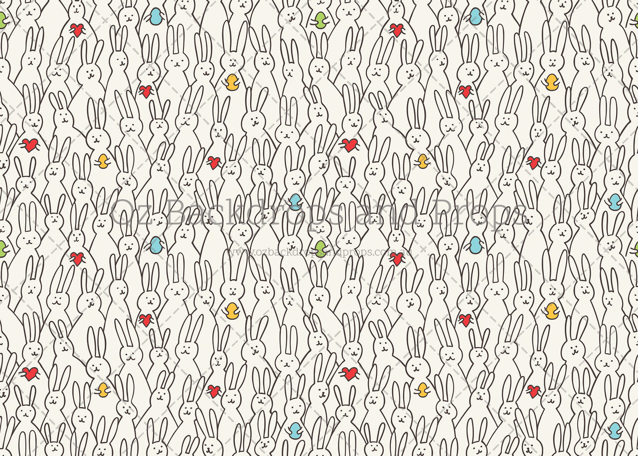 Where's Bunny?