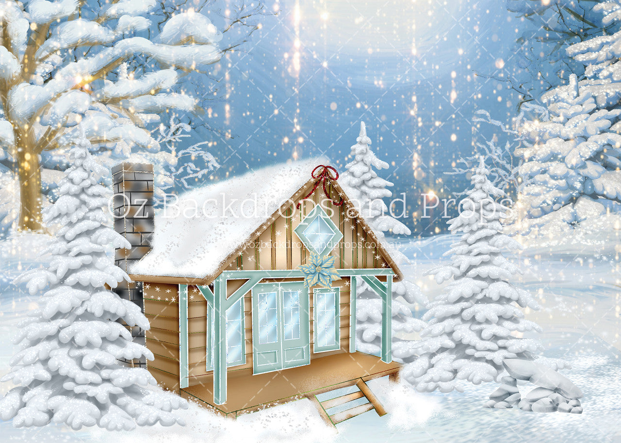 Winter Lodge