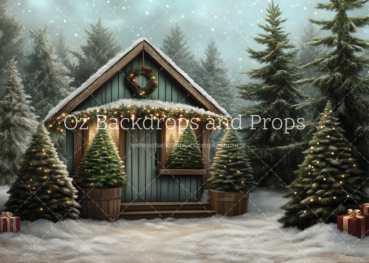 Winter Pine Shed
