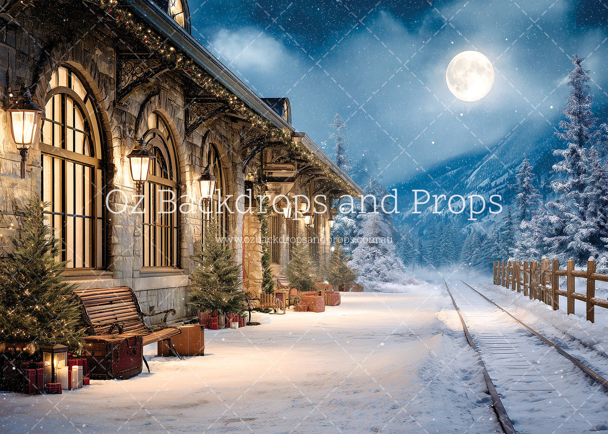 Winter Railway Station