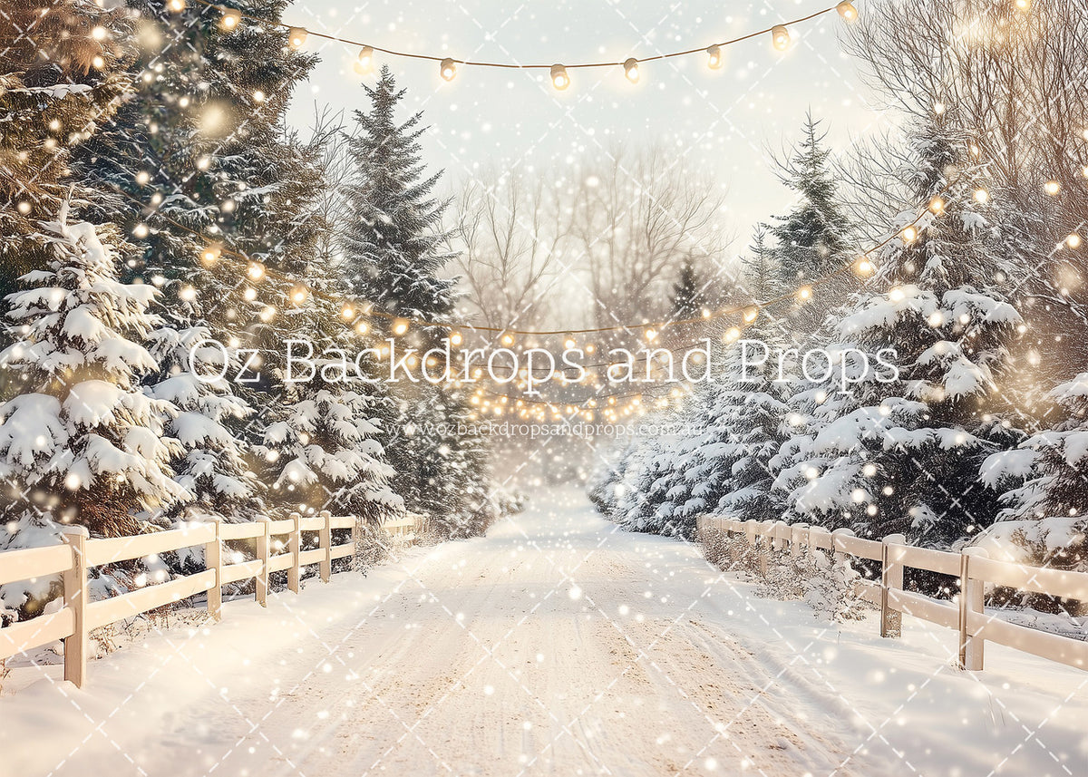 Winter Wonder Lane